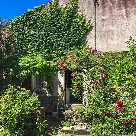 Le Mas Du Figuier, Maison De Vacances Le Bousquet-d'Orb エクステリア 写真