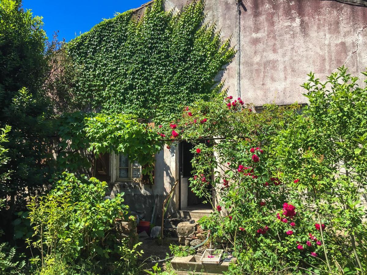 Le Mas Du Figuier, Maison De Vacances Le Bousquet-d'Orb エクステリア 写真